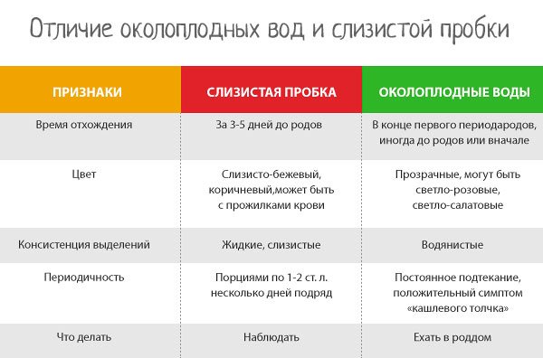 39 неделя беременности
