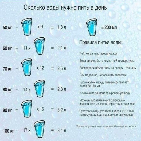 Сколько воды выпивает кошка