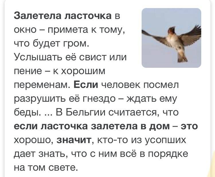 Ребенок плохо спит и часто просыпается: как должен спать новорожденный ребенок - agulife.ru