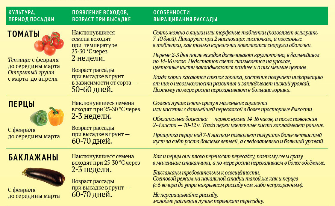 Болгарский перец для детей: польза и вред