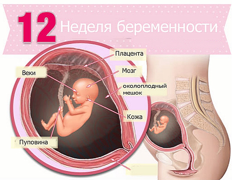 Гематома при беременности. чего стоит опасаться?