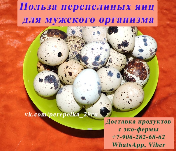 Яйца польза и вред для мужчин. Перепелиные яйца польза. Яйцо перепелиное. Что полезного в перепелиных яйцах. Полезность перепелиных яиц.