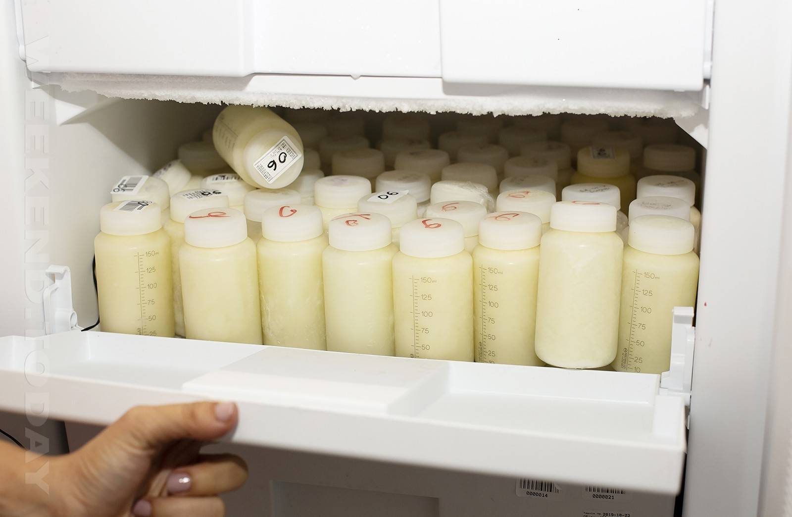 Все о том, как хранить сцеженное молоко. создаем банк молока.