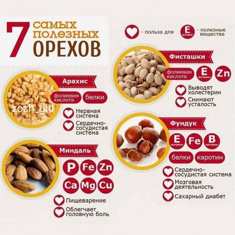 Орехи при грудном вскармливании: какие можно, влияние фундука, кешью, кокоса и других