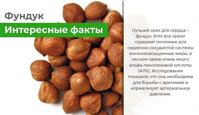 Орехи при грудном вскармливании: польза и вред