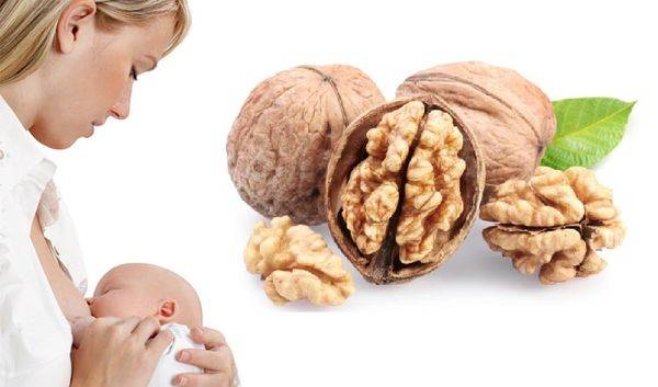 Можно ли есть грецкие орехи при грудном вскармливании новорожденного?