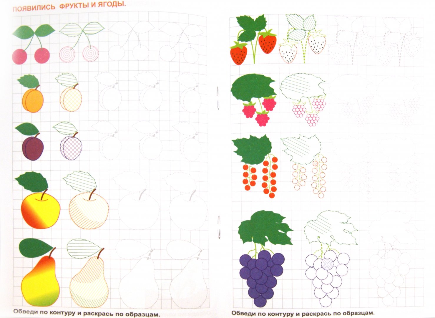 Фрукты и ягоды задания для дошкольников