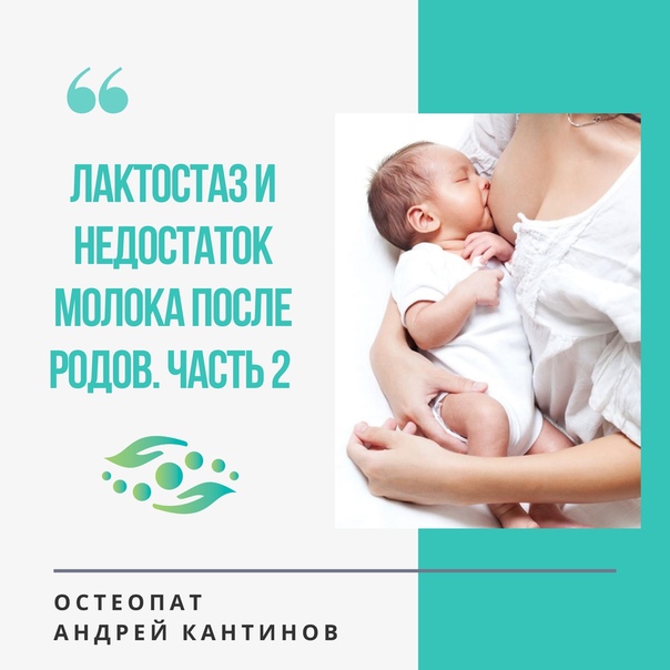 Питание кормящей мамы - мифы и реальность | уроки для мам