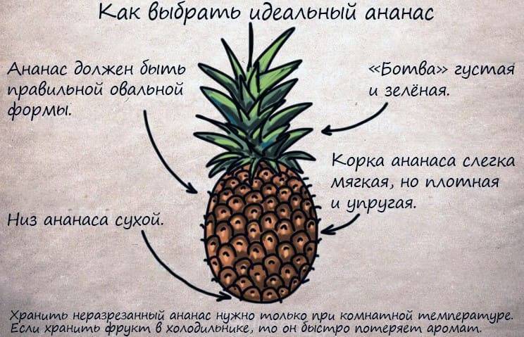 Как довести неспелый ананас до спелости: 10 шагов