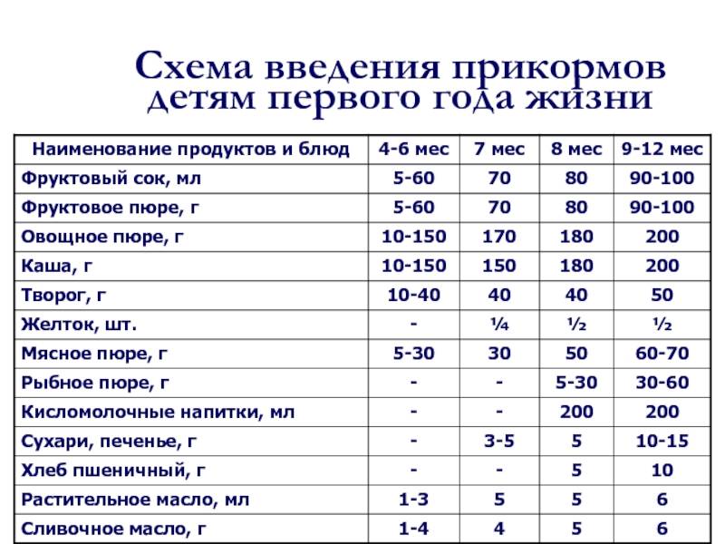 Введение прикорма: 12 советов педиатра, главные правила, продукты по месяцам, профилактика пищевой аллергии