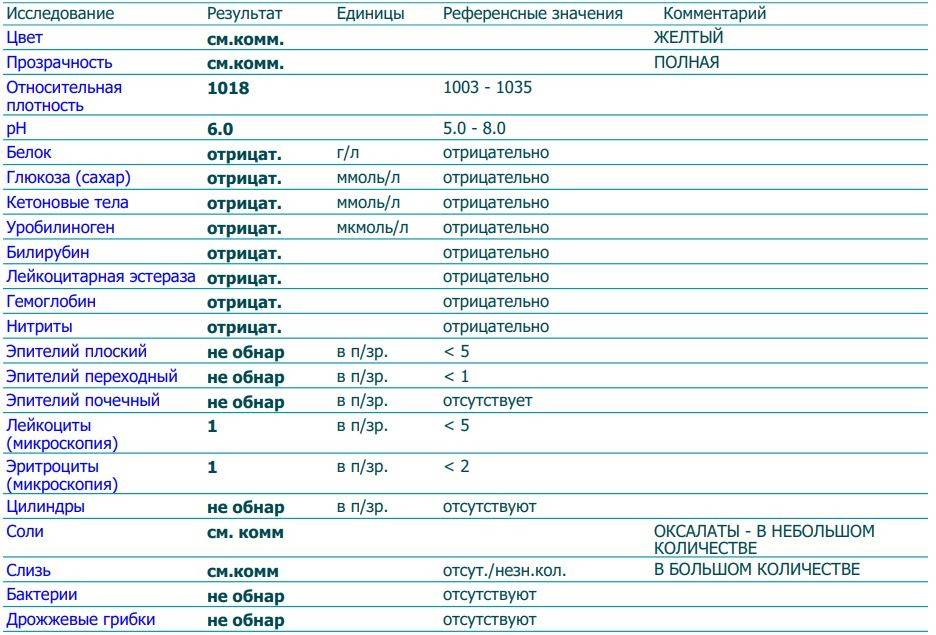 Как понять результаты анализа мочи?