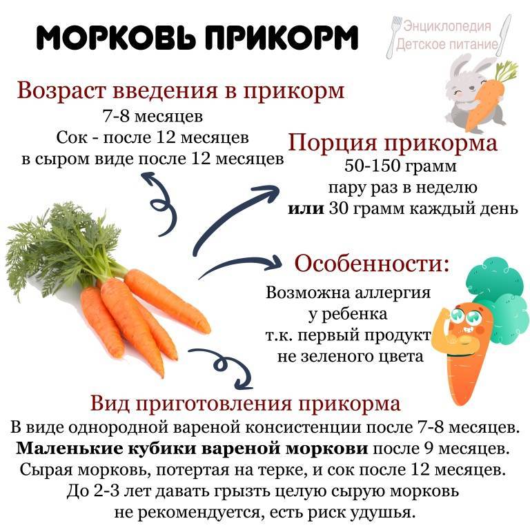 Можно ли сырую, вареную морковь, морковный сок кормящей маме