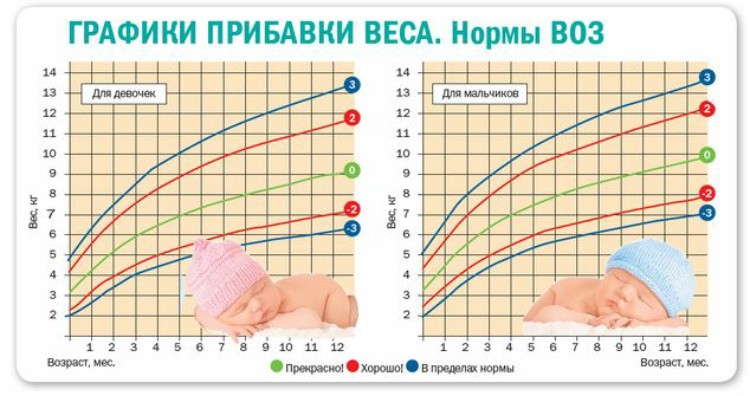 Прибавка в весе у новорожденных по месяцам по норме