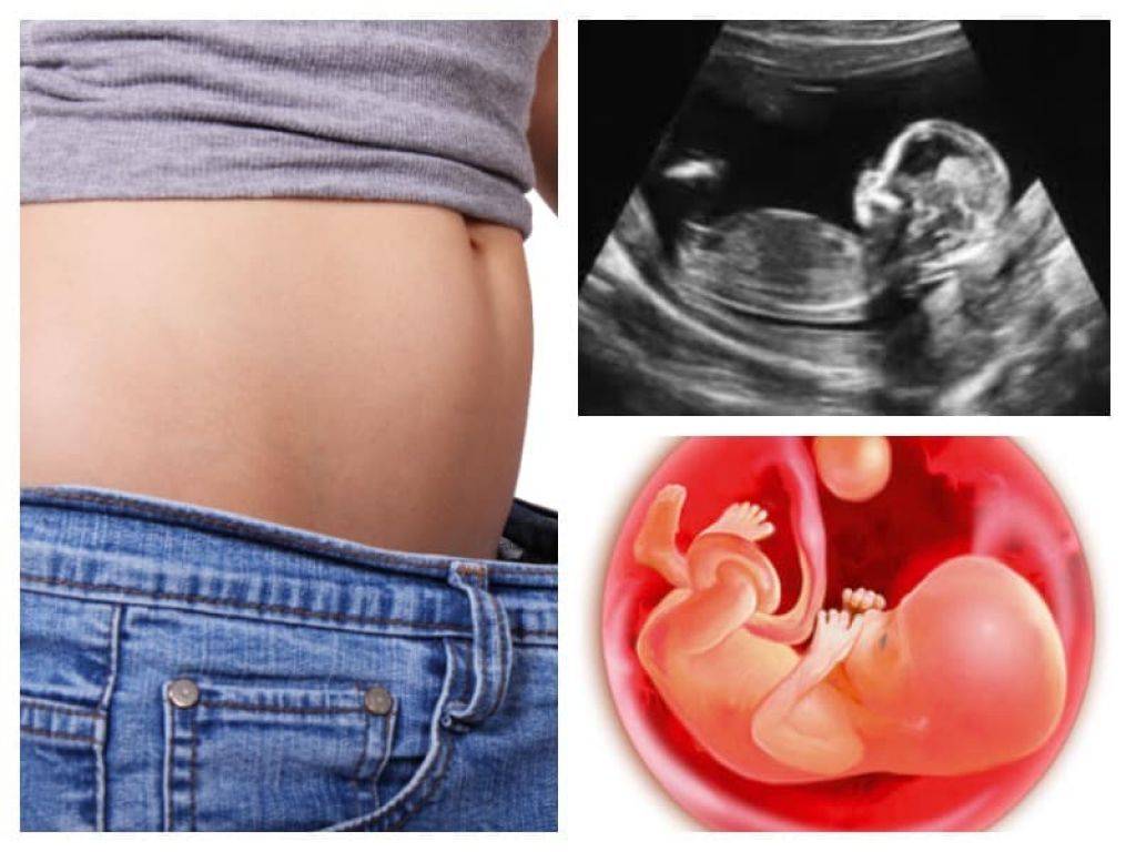 13 неделя беременности описание и фото — евромедклиник 24