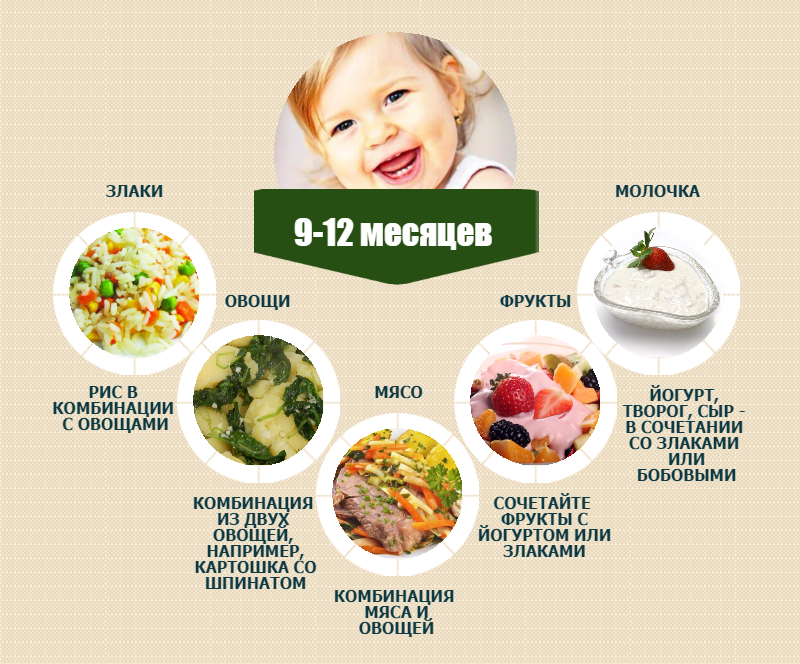 Чем лучше кормить ребенка в 10 месяцев: рацион питания и примерное меню с рецептами на неделю