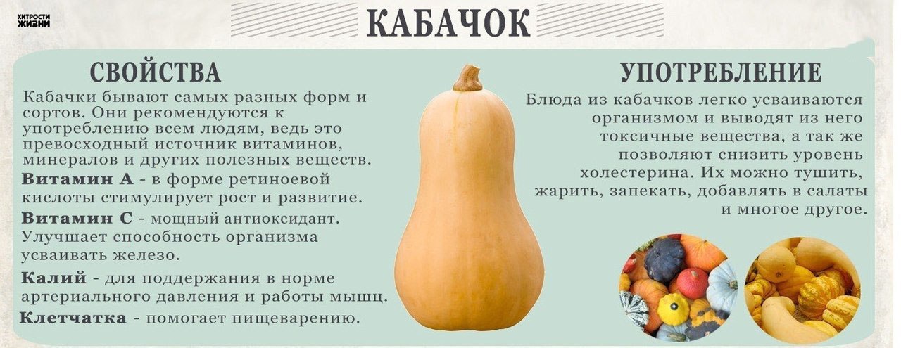Можно ли беременной кабачковую икру. правила питания во время беременности. как приготовить блюдо из кабачка
