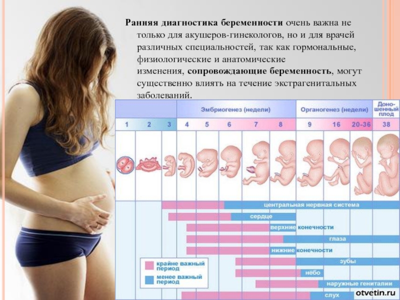 Первые признаки беременности