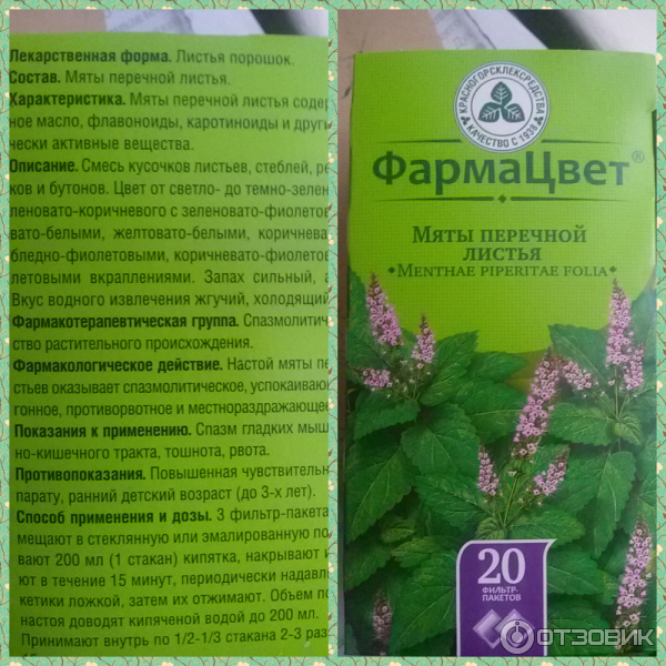 Какими продуктами повысить давление - топ-10 лучших