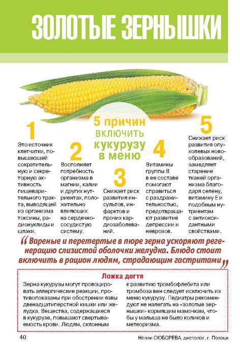 Можно ли кормящей маме виноград? | уроки для мам