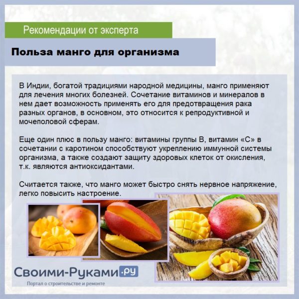 Диета при гастроэзофагеальной рефлюксной болезни