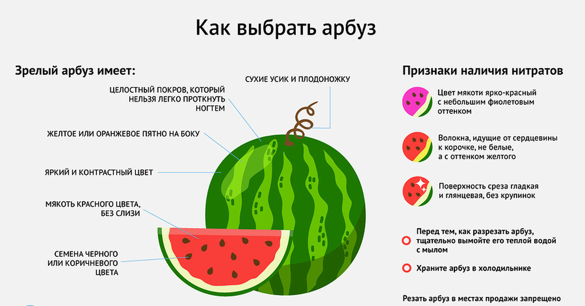 Можно ли есть арбуз при грудном вскармливании: в первый и последующие месяца кормления грудью / mama66.ru