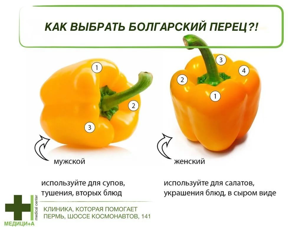 Можно ли болгарский перец кормящей маме? | уроки для мам