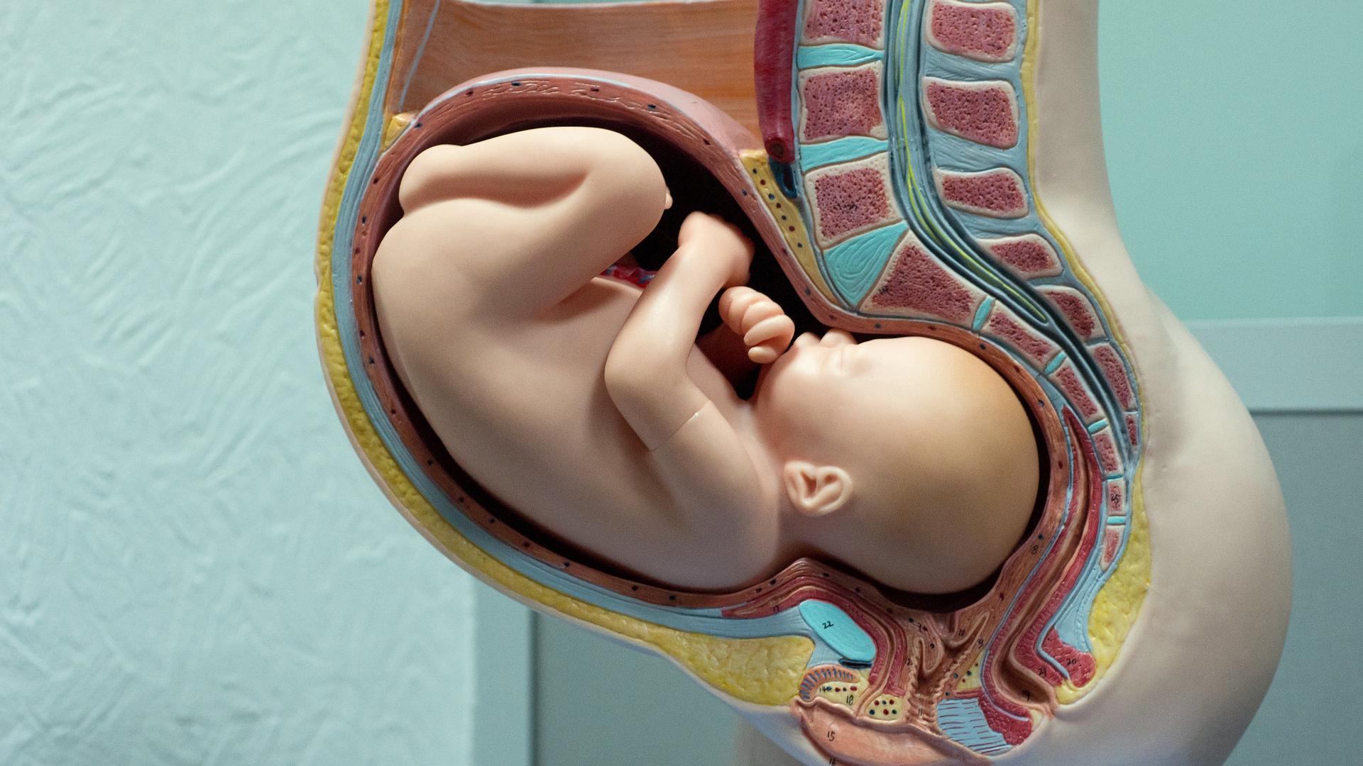 37 неделя беременности: что происходит, ощущения, подготовка к родам
