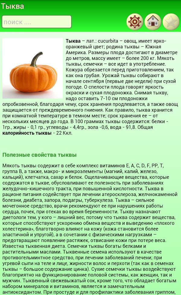 Тыква при беременности