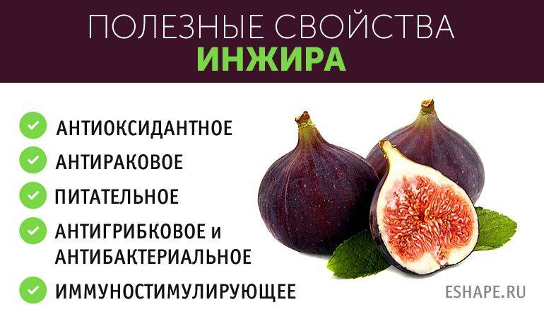 Молочные продукты детям до 1 года - питание малышам, ребенку после года