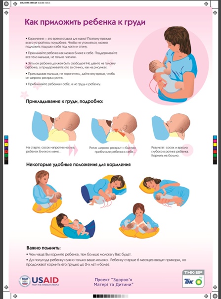Прикладывание новорожденного к груди. советы педиатра