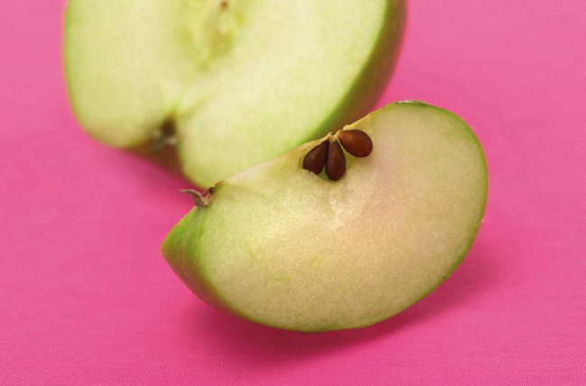 Можно ли есть яблоки в первый месяц грудного вскармливания? как выбрать фрукты и вводить в рацион?
