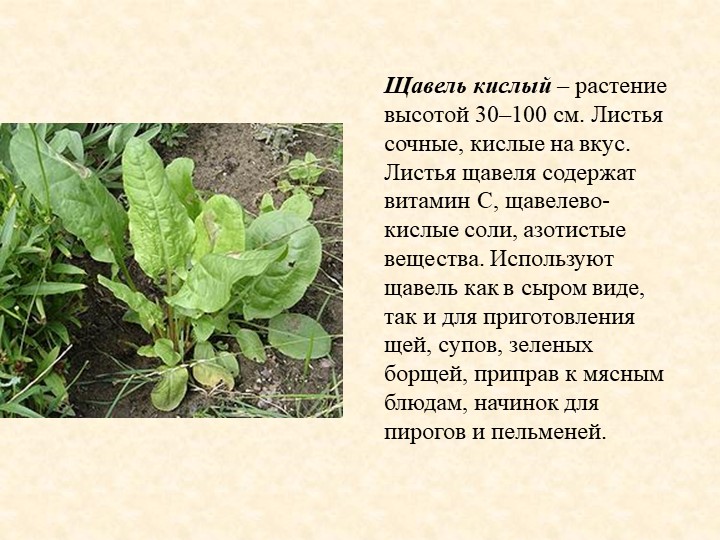Питание ребенка в 2 года - рацион и режим, продукты для детей 2-х лет