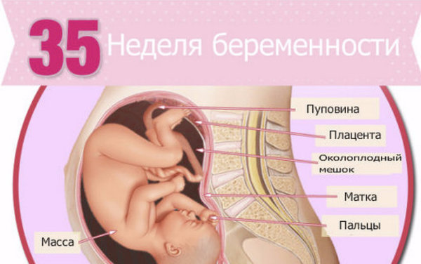 Температура при беременности: нормы, симптоматика, методы лечения