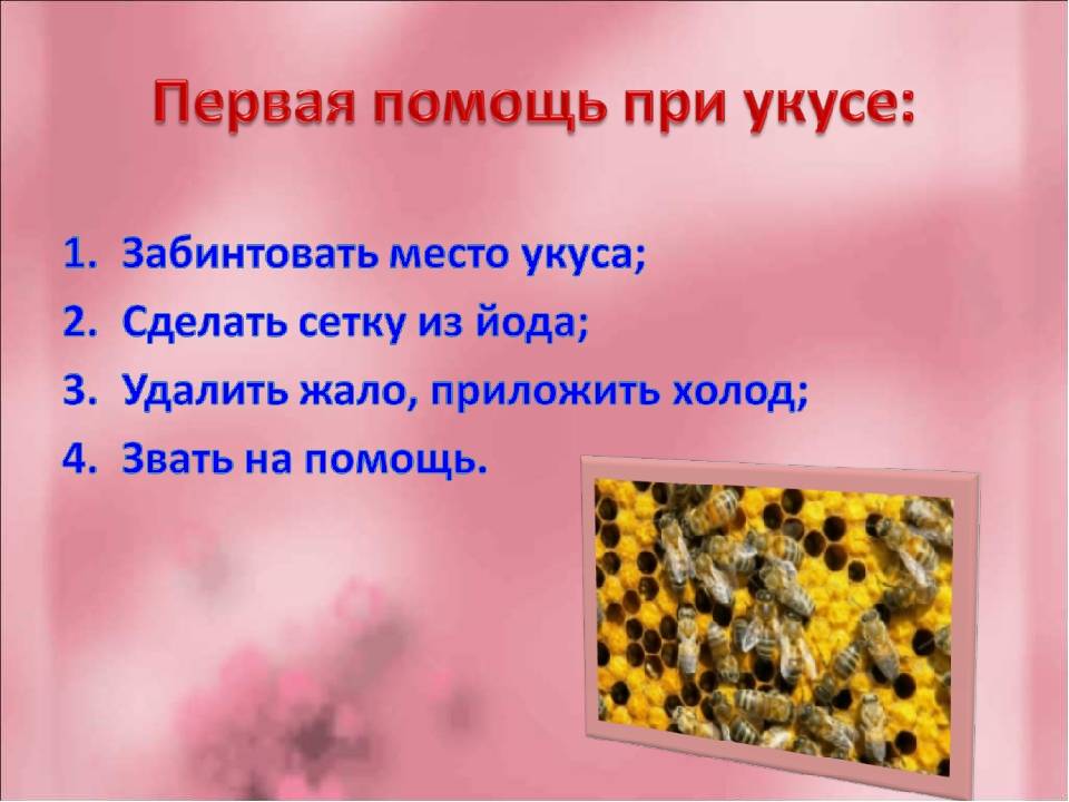 Аллергия на пчел