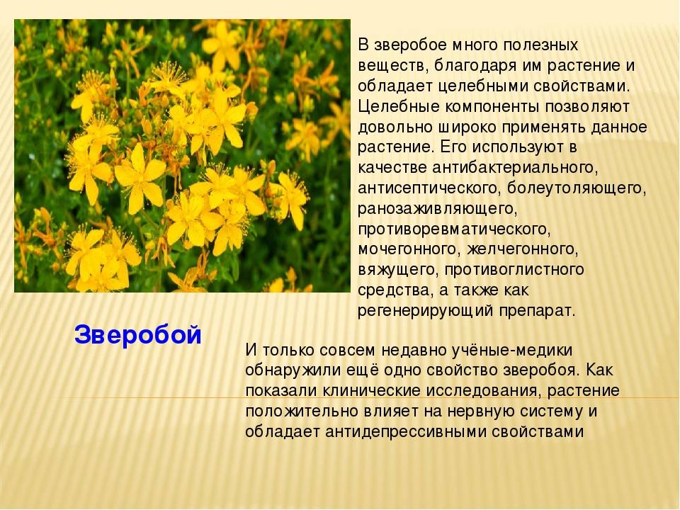Полезная информация