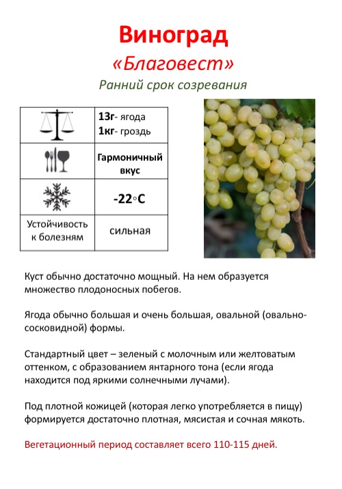 Какие фрукты можно и нельзя употреблять во время беременности? • центр гинекологии в санкт-петербурге