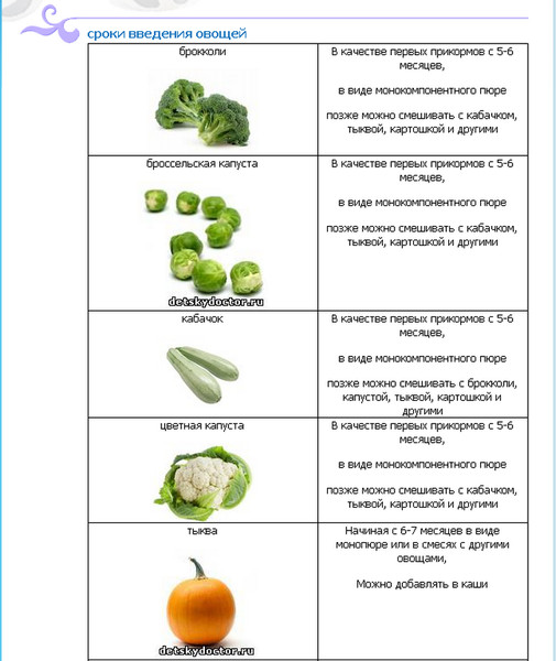 Введение прикорма: овощи- энциклопедия детское питание