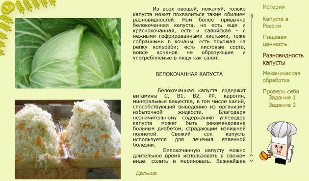 Тушеная, квашеная капуста при грудном вскармливании: можно ли есть кормящей маме? | nail-trade.ru