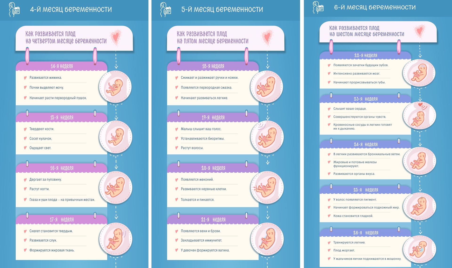 Первые признаки беременности: как определить беременность на ранних сроках