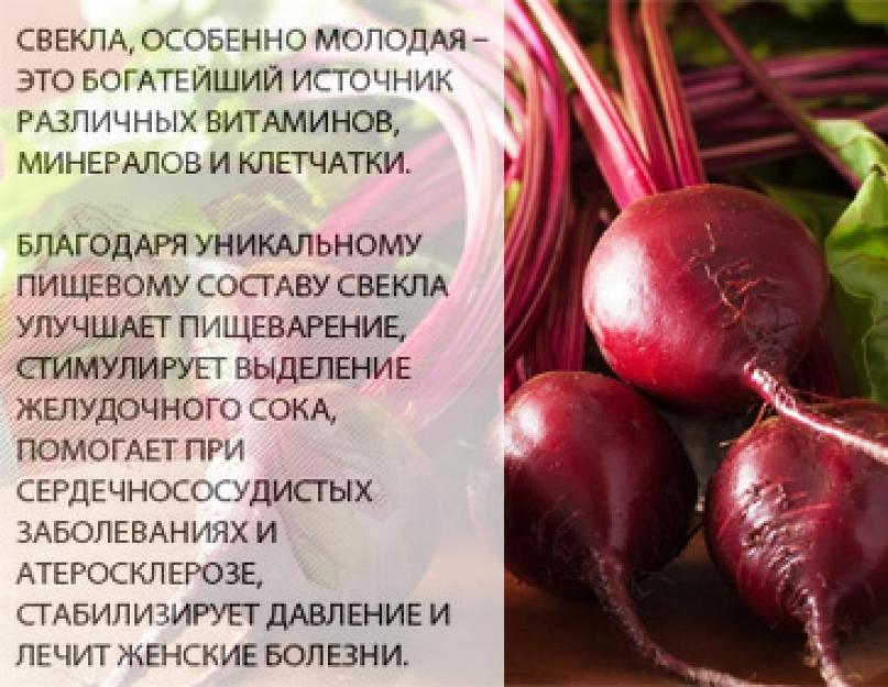 Свекла при грудном вскармливании: является ли аллергеном; можно вареную свеклу кормящей маме?полезные свойства