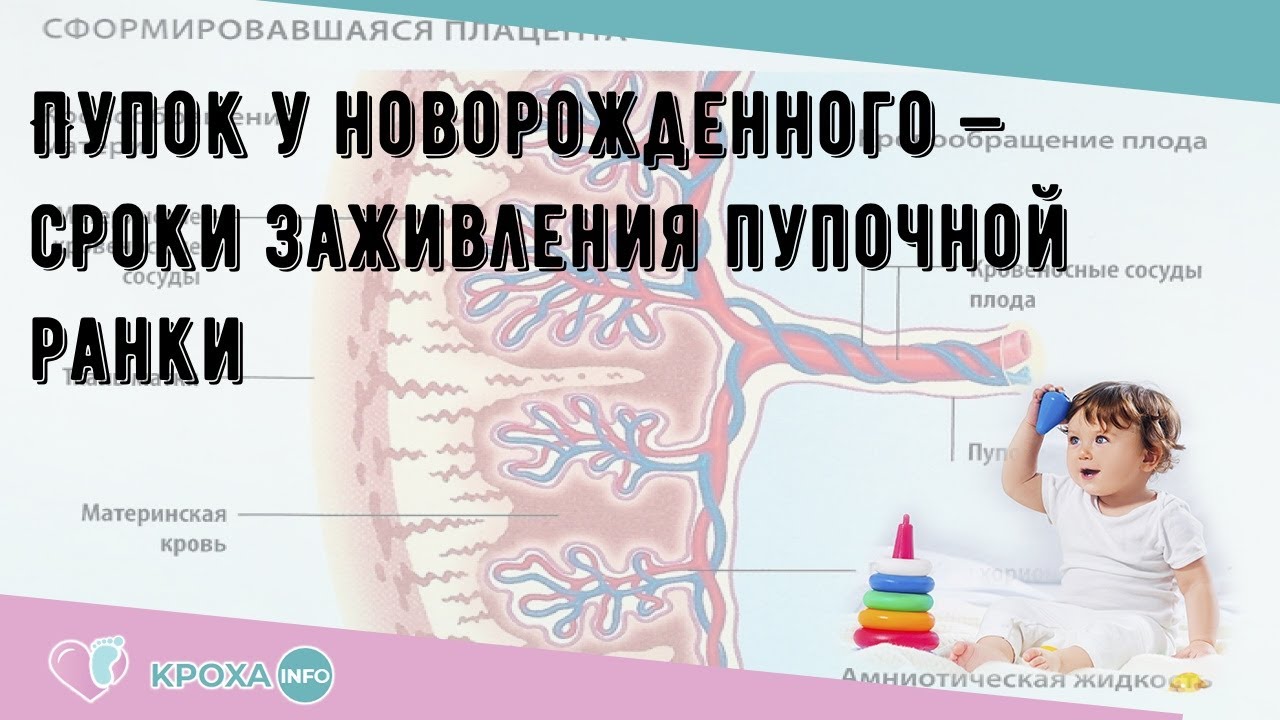 Красноярский медицинский портал krasgmu.net