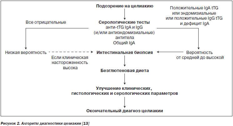 Целиакия у детей: симптомы, жалобы, диагностика, лечение и безглютеновая диета | кронколит