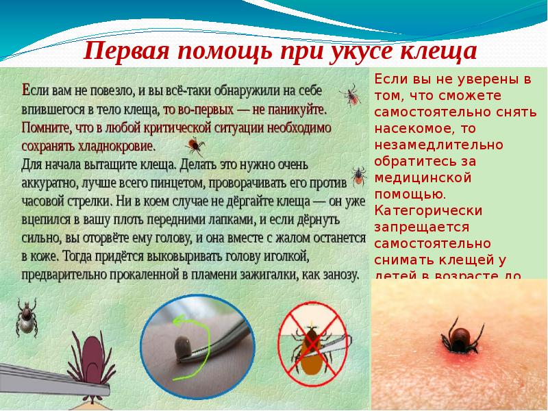 Болезнь лайма или клещевой боррелиоз