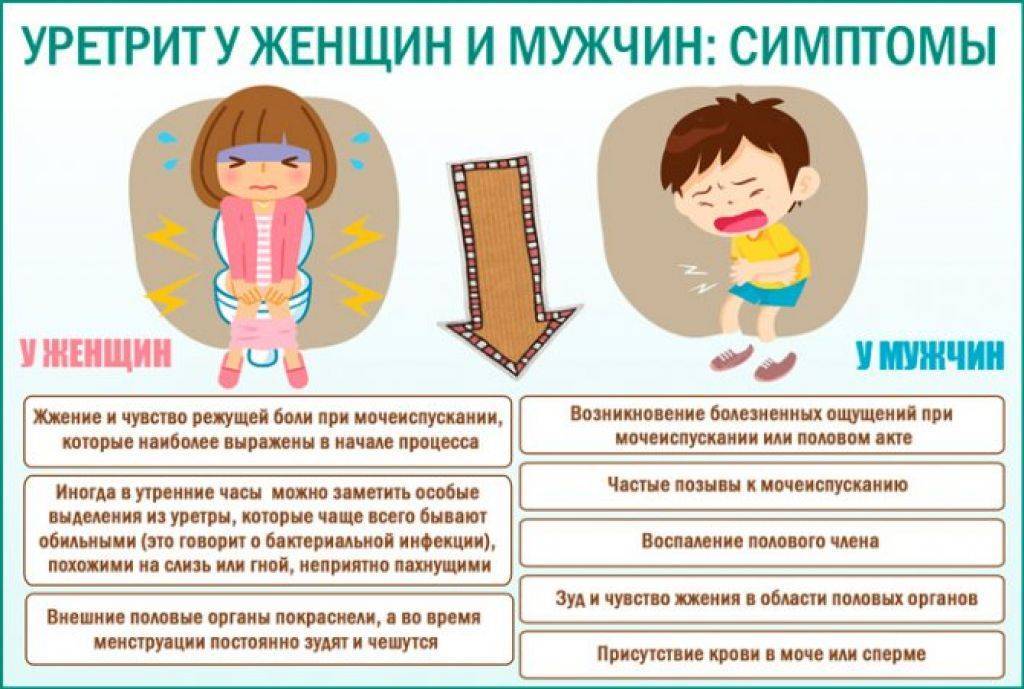 Новорожденный плачет, когда писает: причины
