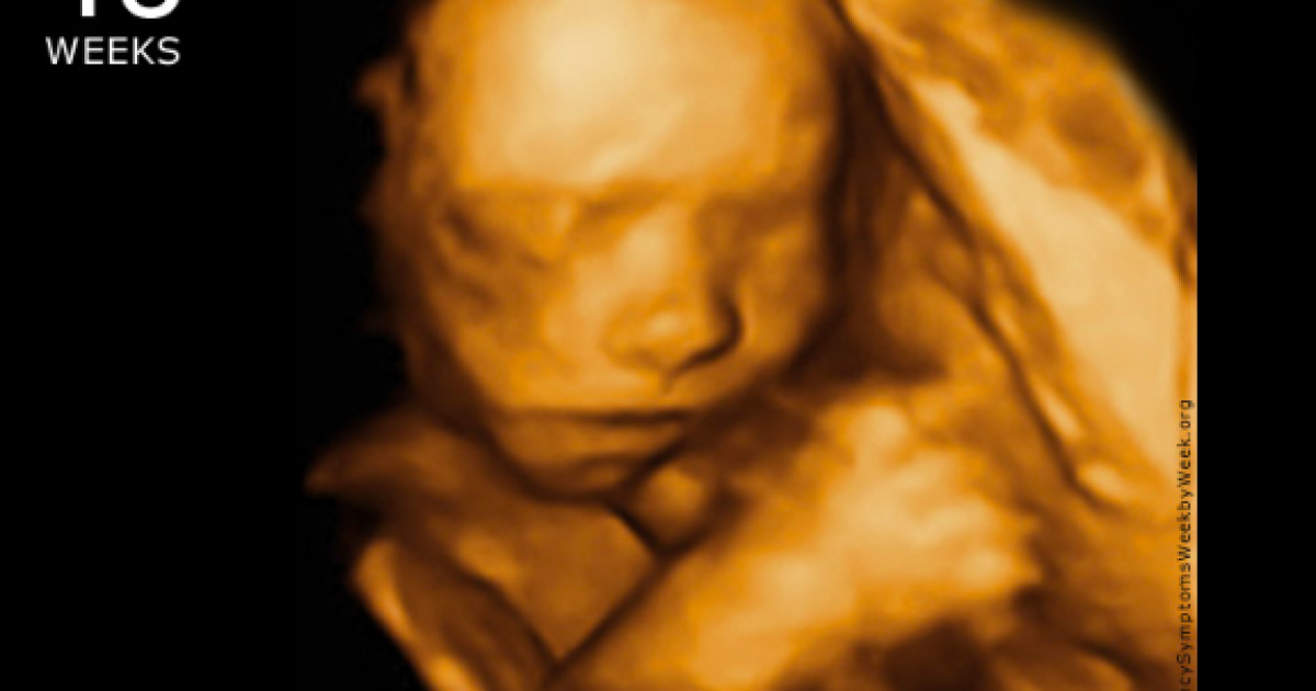 40 неделя ноет. УЗИ на 40 неделе беременности. Эмбрион на 40 неделе беременности. УЗИ 40 недель беременности фото.