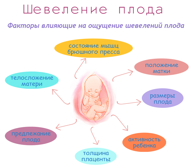 18 неделя беременности. календарь беременности   | материнство - беременность, роды, питание, воспитание
