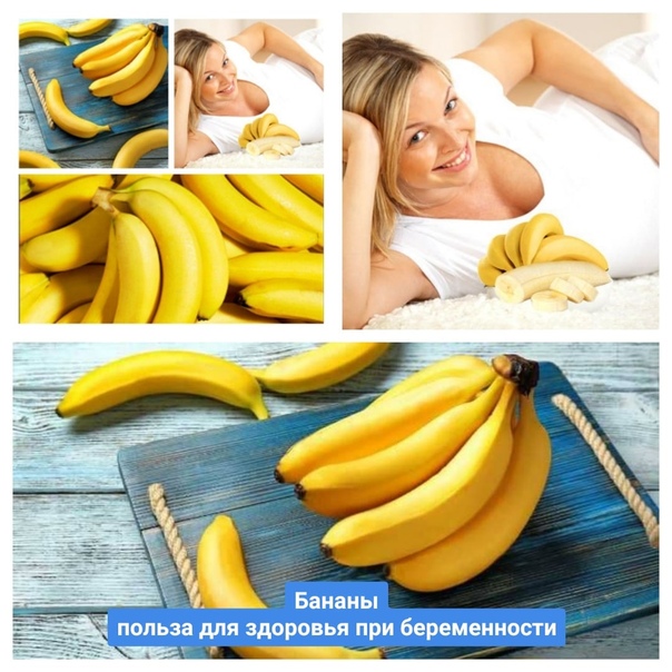 Польза и вред бананов при беременности. почему хочется бананов при беременности. можно ли есть бананы во время беременности — беременность. беременность по неделям.