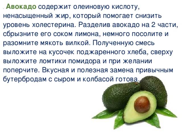 Польза и вред от авокадо: свойства, применение, для организма - 24сми