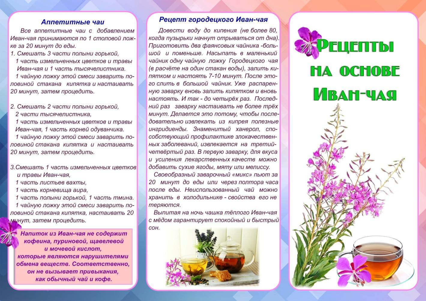 Иван-чай: полезные свойства для женщин, организма при беременности, лечебные противопоказания кипрея, можно для похудения, волос, вред при грудном вскармливании