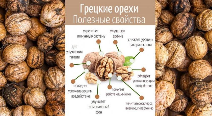 Грецкие орехи при грудном вскармливании: можно ли, польза, вред